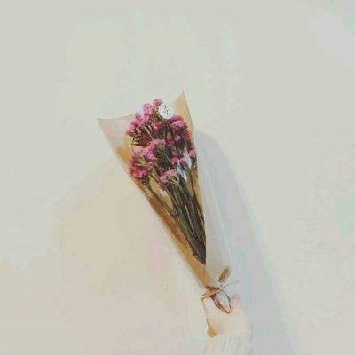 王者纪元手游bt版下载